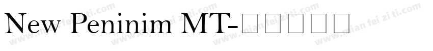 New Peninim MT字体转换